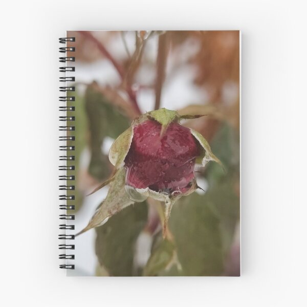 Item preview, Appointed Raindrops designed and sold by SCTBUFFALOPHOTO.