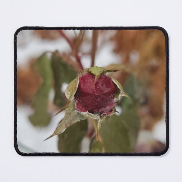 Item preview, Appointed Raindrops designed and sold by SCTBUFFALOPHOTO.