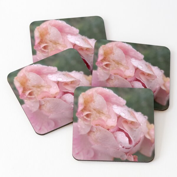 Item preview, Best to Cherish designed and sold by SCTBUFFALOPHOTO.