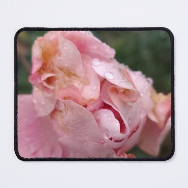 Item preview, Best to Cherish designed and sold by SCTBUFFALOPHOTO.