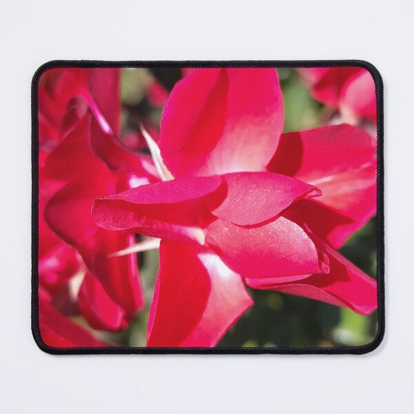 Item preview, Call Back designed and sold by SCTBUFFALOPHOTO.
