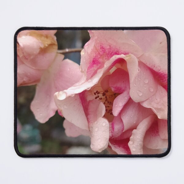 Item preview, Controlled Timing designed and sold by SCTBUFFALOPHOTO.