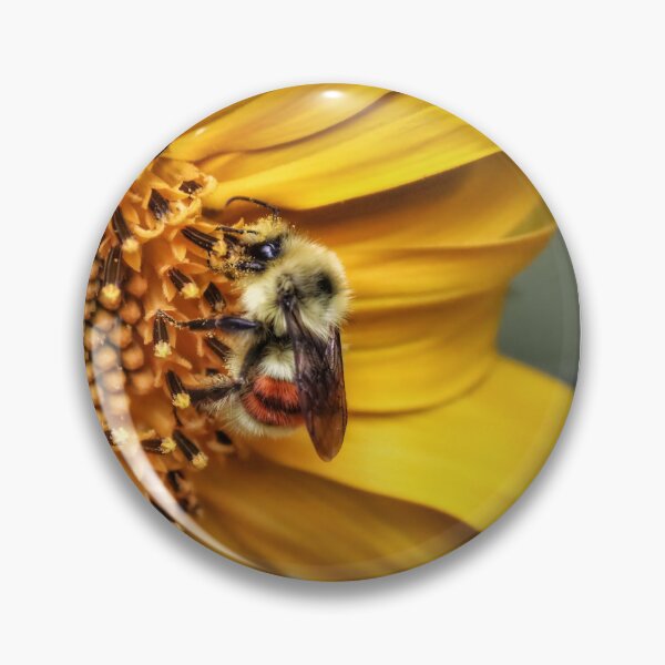 Item preview, Busy Bee designed and sold by PementPhotoArt.