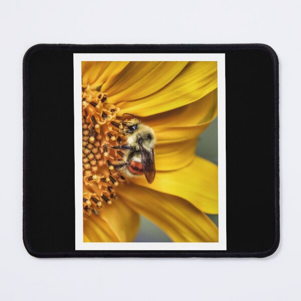 Item preview, Busy Bee designed and sold by PementPhotoArt.
