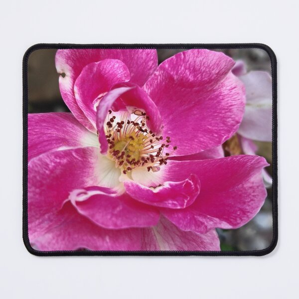 Item preview, Crazy Colors designed and sold by SCTBUFFALOPHOTO.