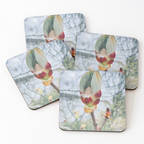 Item preview, Spring Awakening – Horse Chestnut Bud Macro designed and sold by TsvietkovaArt.