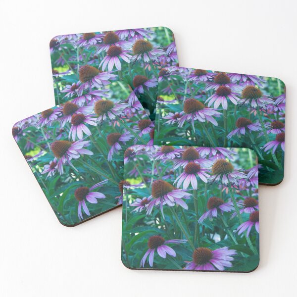 Item preview, Echinacea Blooms designed and sold by Intimidation Factory.