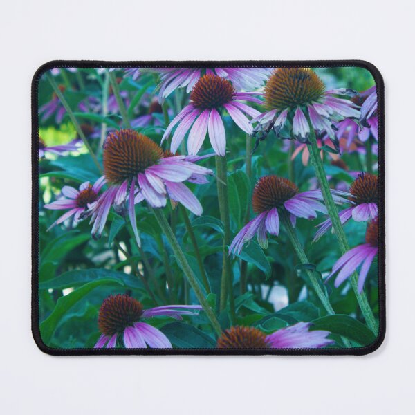Item preview, Echinacea Blooms designed and sold by Intimidation Factory.