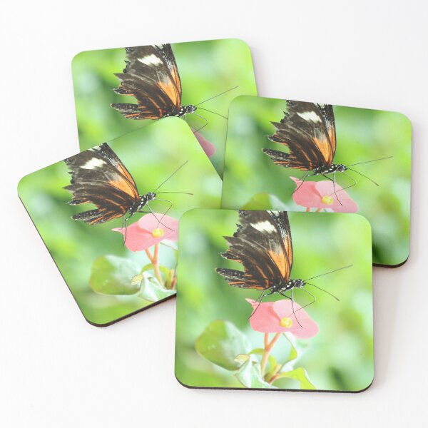 Item preview, Battle Scars designed and sold by Olivia Plasencia.