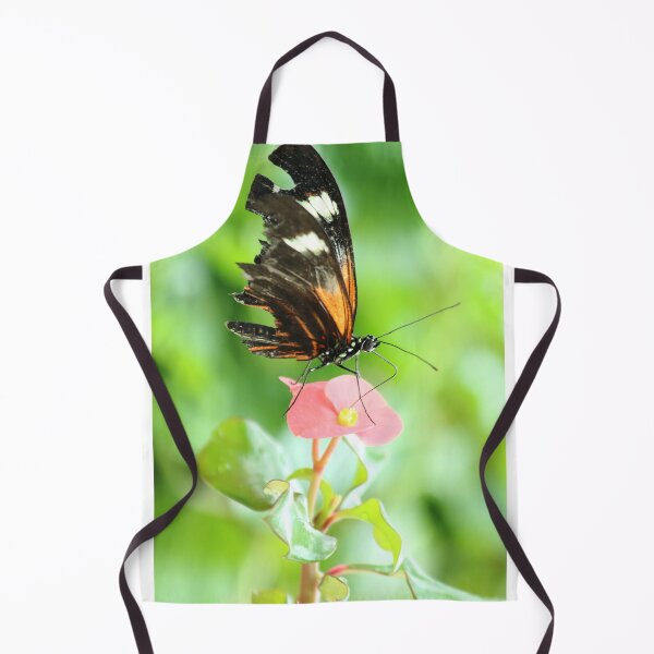Item preview, Battle Scars designed and sold by Olivia Plasencia.