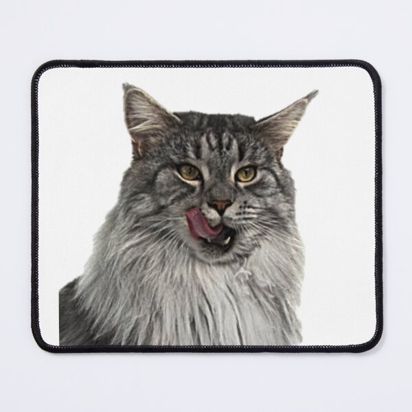 Item preview, Maine Coon Cat designed and sold by NoxLand.