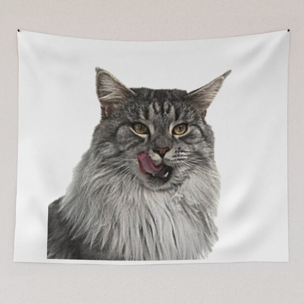 Item preview, Maine Coon Cat designed and sold by NoxLand.