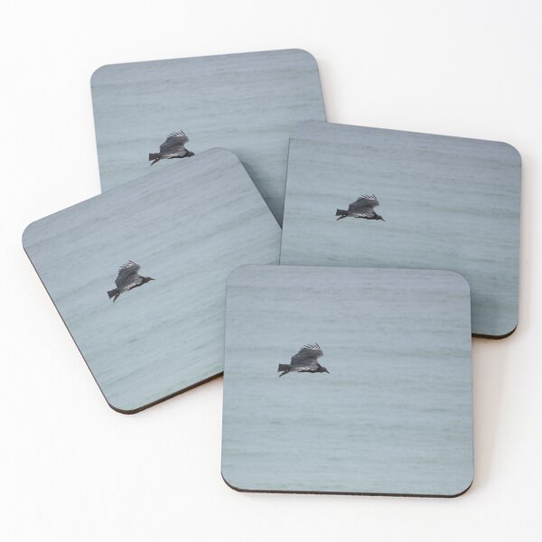 Item preview, Bird of the Coast designed and sold by OddParallels.