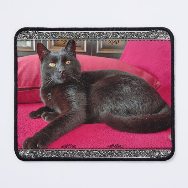 Item preview, Framed Black Cat on Pink – Modern Wall Art designed and sold by MB-CatPrints.
