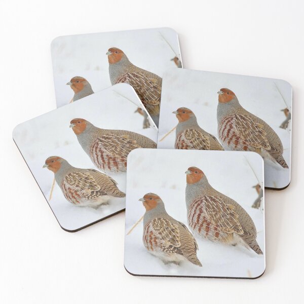 Item preview, Partridges designed and sold by di-Vera-Rosati.