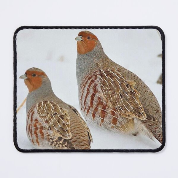 Item preview, Partridges designed and sold by di-Vera-Rosati.
