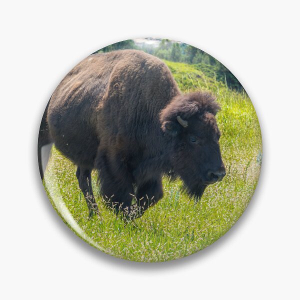 Item preview, Bison and Calves in Meadow designed and sold by Debra Martz.