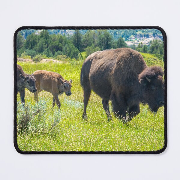 Item preview, Bison and Calves in Meadow designed and sold by Debra Martz.