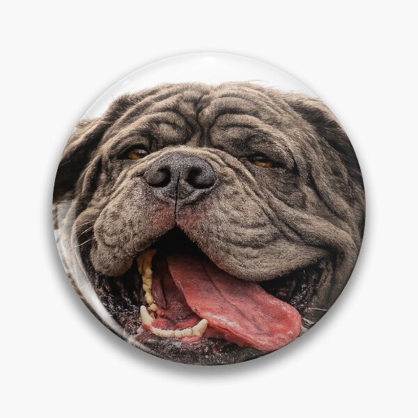 Item preview, Wind in the Face Neapolitan Mastiff – Funny Happy Mastiff Dog Art designed and sold by DogYouChose.