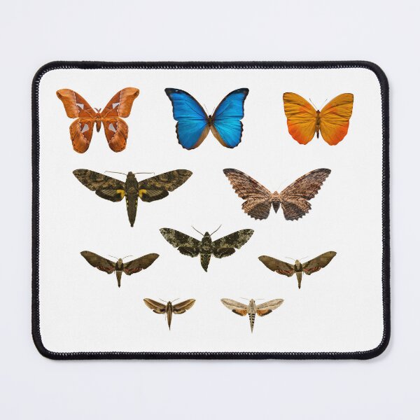 Item preview, Vintage Butterfly Aesthetic Shirt Design designed and sold by Mad-by-The-O.
