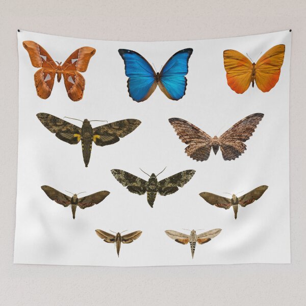 Item preview, Vintage Butterfly Aesthetic Shirt Design designed and sold by Mad-by-The-O.
