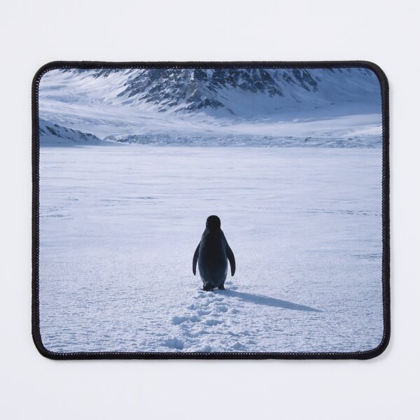 Item preview, BUT WHY Penguin in Frozen Mountains designed and sold by ᗩᑎTOᑎ OᒪEKSIYEᑎKO.