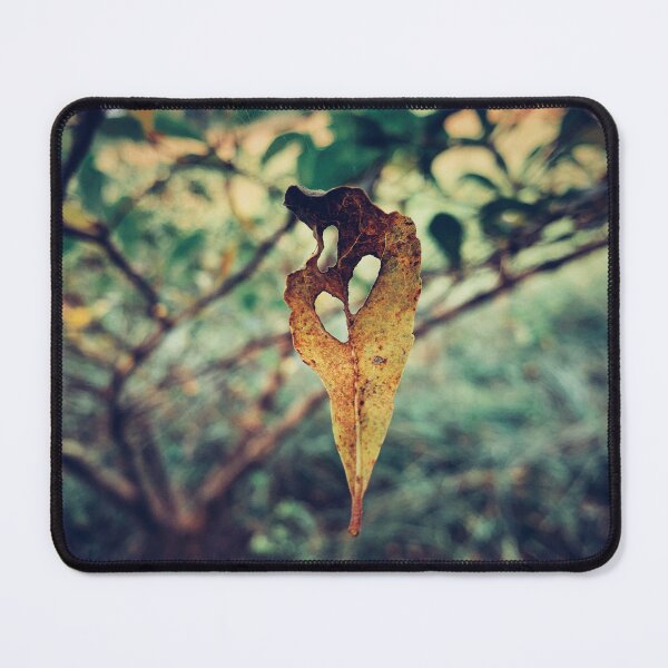Item preview, Yellow leaf on tree amidst cobwebs designed and sold by Dreamchaserjnr.