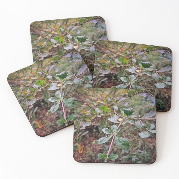 Item preview, Small Green Leaves Growing on Reddish Branches designed and sold by Dreamchaserjnr.