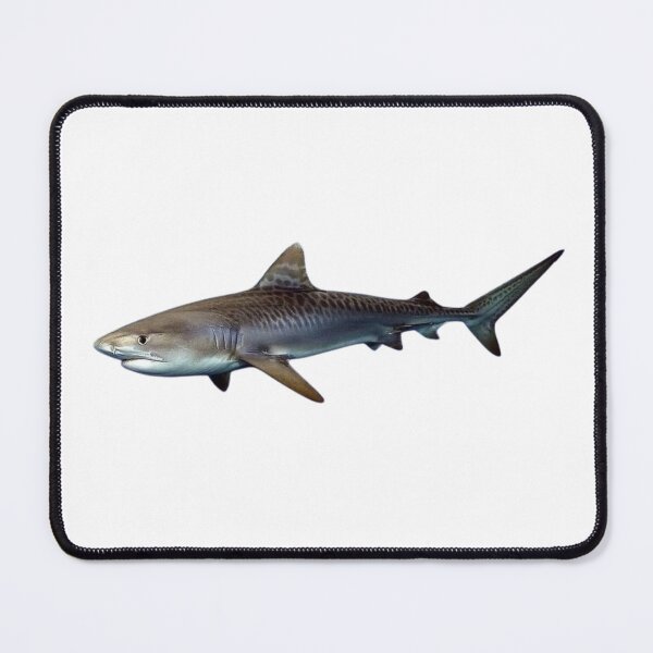 Item preview, Grey shark designed and sold by di-Vera-Rosati.