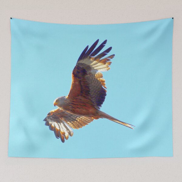 Item preview, Red Kite in the sky designed and sold by MartinPhotos.