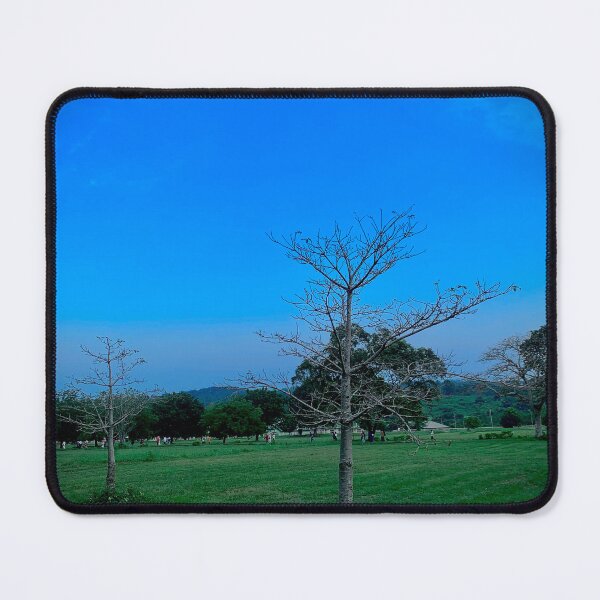 Item preview, Bare Tree Against a Clear Blue Sky designed and sold by Dreamchaserjnr.