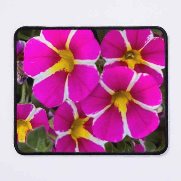 Item preview, PETUNIA PRETTY by Sotero designed and sold by SOTERO ART.