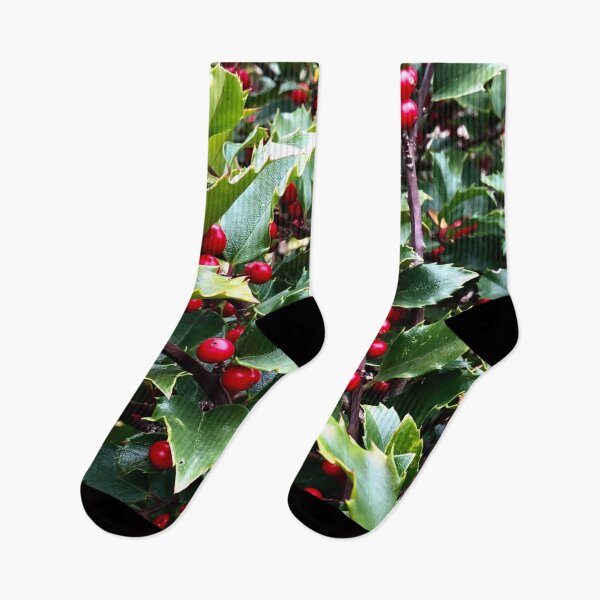 Item preview, Christmas traditional Holly berries and leaves photo designed and sold by hollycooper.