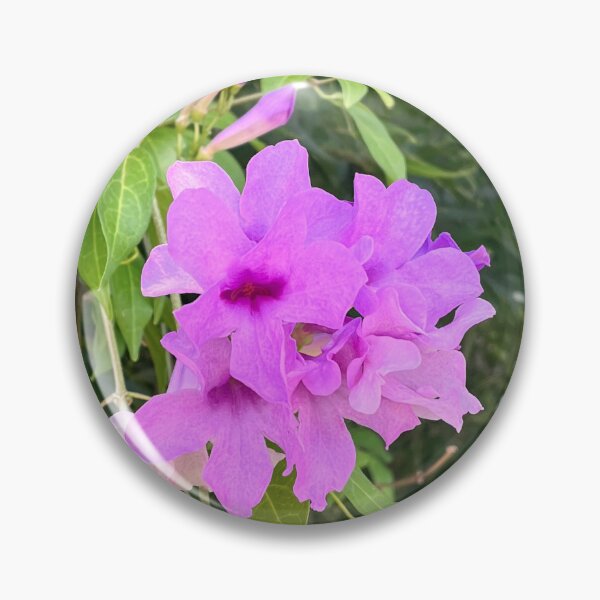 Item preview, Violet Trumpet Vine Flower on Lush Green Climber designed and sold by Be Captured by Brittany Emma.