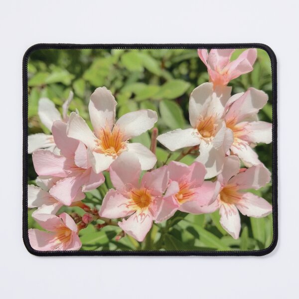 Item preview, Apricot Oleander Flowers on Garden Hedge designed and sold by Be Captured by Brittany Emma.