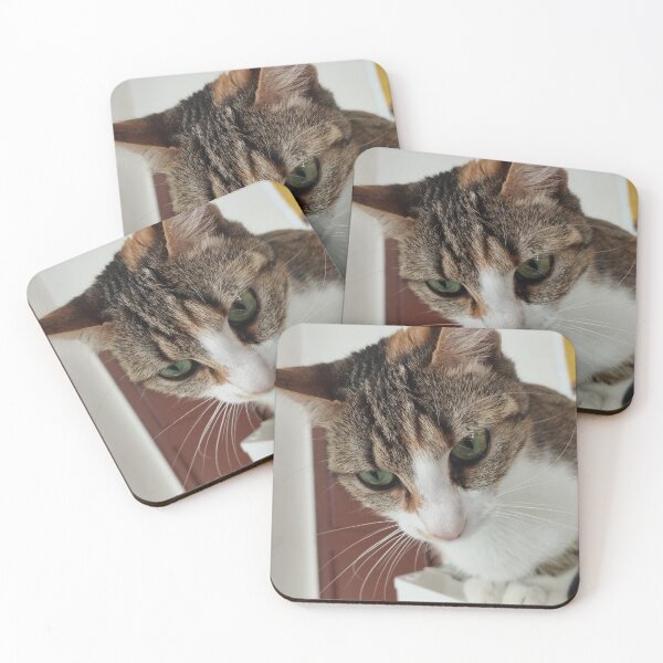 Item preview, Observant Calico Tabby with Beautiful Eyes designed and sold by inspiration3.