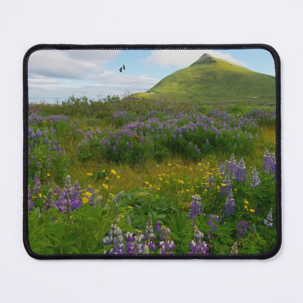 Item preview, Ballyhoo in July, Unalaska Alaska designed and sold by Aleutian Life Studios.