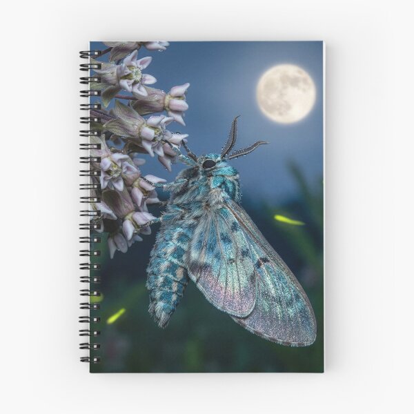 Item preview, Moth on a Milkweed in the Moonlight designed and sold by Tridentulus.