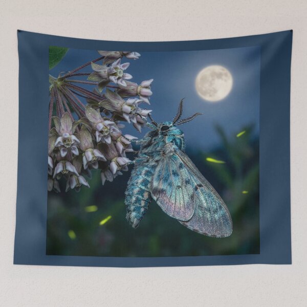 Item preview, Moth on a Milkweed in the Moonlight designed and sold by Tridentulus.