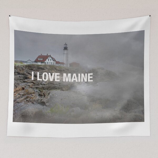 Aperçu de l'œuvre J'AIME MAINE créée et vendue par SKIP WILLITS FINE ART.