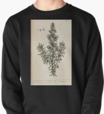 A curious herbal Elisabeth Blackwell John Norse Samuel Harding 1737 0408 Rosemary Pullover
