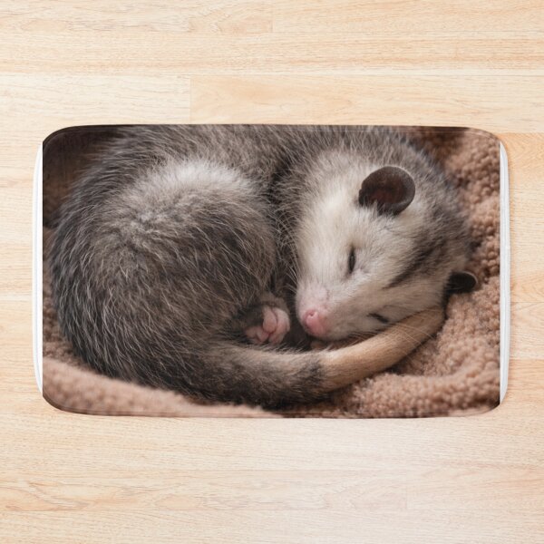 Artikelvorschau, Schläfriges Opossum, süßes Tier, Waldtier entworfen und verkauft von ThoughtPuddle.