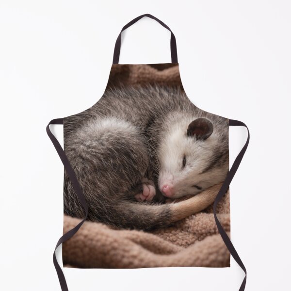 Artikelvorschau, Schläfriges Opossum, süßes Tier, Waldtier entworfen und verkauft von ThoughtPuddle.