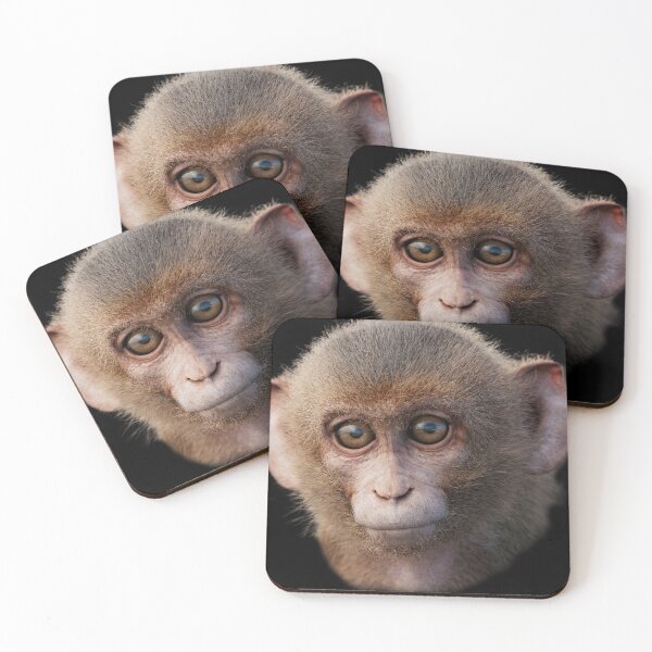 Item preview, Quiet Focus – Macaque Portrait designed and sold by Massimo Righi.