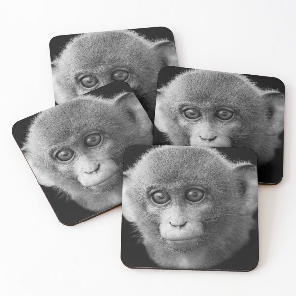 Item preview, Quiet Focus – Macaque Portrait (Black & White) designed and sold by Massimo Righi.