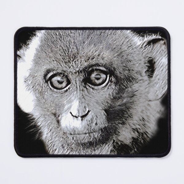 Item preview, Silent Gaze — Black & White Monkey Portrait designed and sold by Massimo Righi.