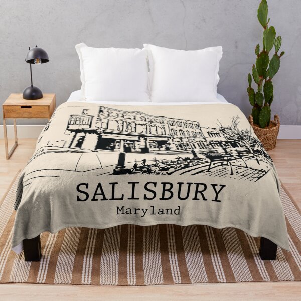 Item preview, Salisbury - Maryland designed and sold by Lakeric Cityscapes.