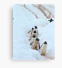 ~ penguin lineup ~ Metal Print
