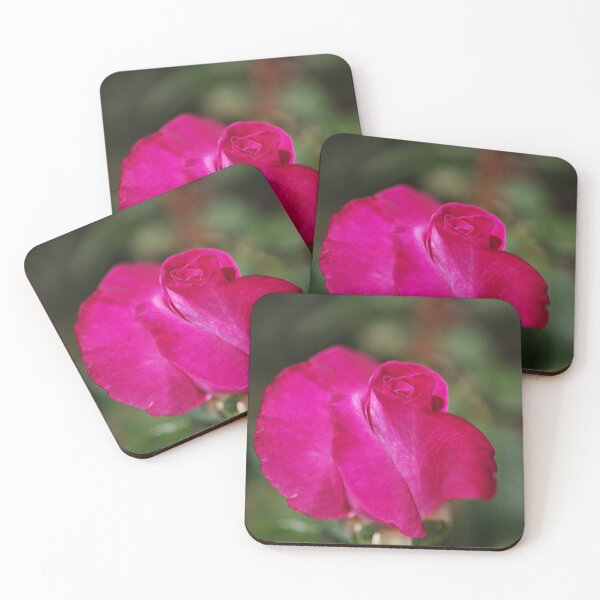 Item preview, Lush Pink Rose designed and sold by Joy Watson - Natural Light Photography .