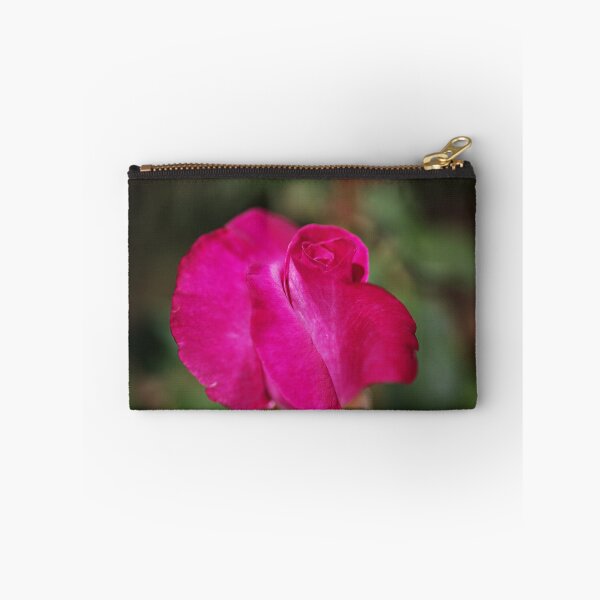 Artikelvorschau, Üppige rosa Rose entworfen und verkauft von Joy Watson - Natural Light Photography .